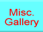 Misc Gallery